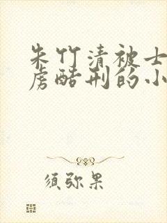 朱竹清被士兵俘虏酷刑的小说叫什么