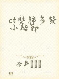 ct双肺多发微小结节