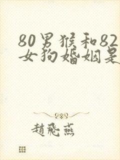 80男猴和82女狗婚姻是否相配封面