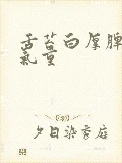 舌苔白厚脾虚湿气重