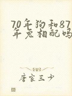 70年狗和87年兔相配吗