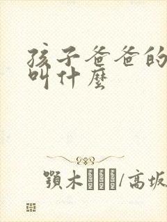 孩子爸爸的哥哥叫什么封面