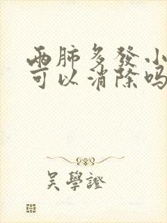 两肺多发小结节可以消除吗