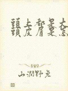 头上都是大块的头皮屑是怎么回事