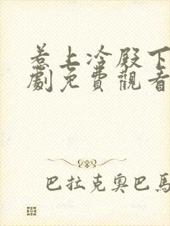 惹上冷殿下电视剧免费观看全集