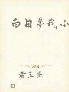 白日梦我小说