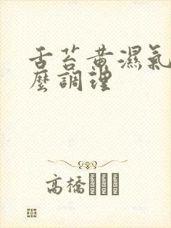 舌苔黄湿气重怎么调理