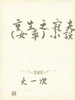 重生之宠夫之路(女尊) 小说封面
