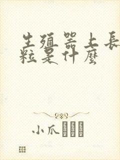 生殖器上长小肉粒是什么