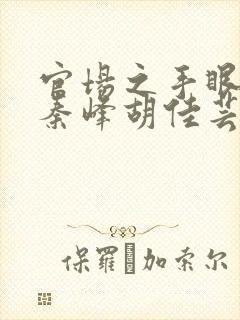 官场之手眼通天秦峰胡佳芸封面