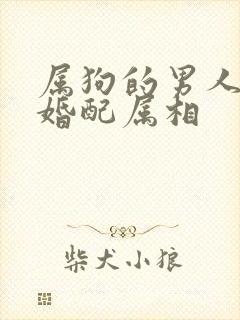属狗的男人最佳婚配属相封面