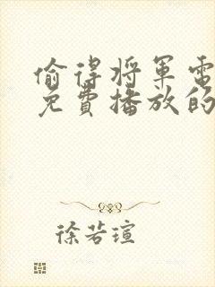 偷得将军电视剧免费播放的网站封面