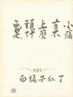 龟头上有小疙瘩是什么不痛不痒