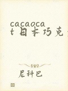 cacaocat 日本巧克力封面
