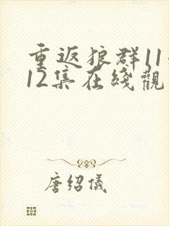 重返狼群11和12集在线观看十周年封面