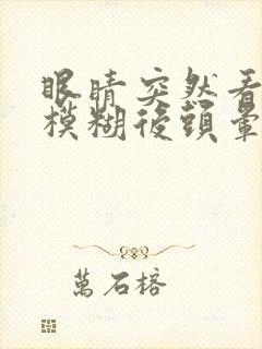 眼睛突然看东西模糊后头晕