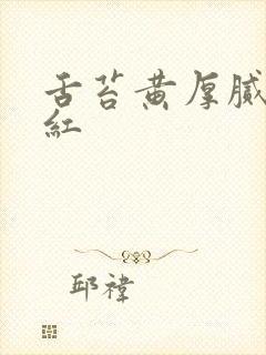 舌苔黄厚腻舌尖红封面