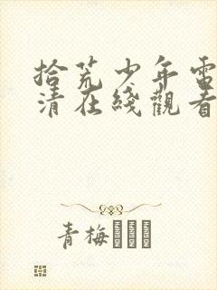 拾荒少年电影高清在线观看