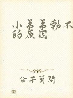 小弟弟勃不起来的原因