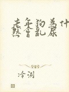 老年狗为什么突然会乱尿