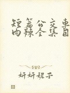 短篇公交车高h肉辣全集目录