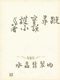 《护宝寻踪》原著小说