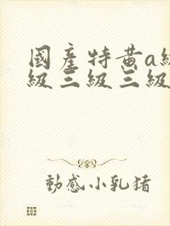 国产特黄a级三级三级三级