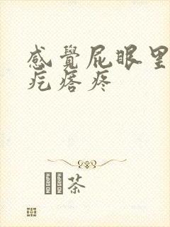 感觉屁眼里有个疙瘩疼封面