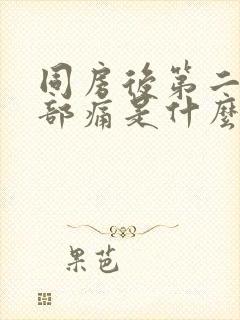 同房后第二天腹部痛是什么原因封面