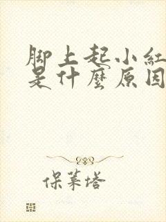 脚上起小红疙瘩是什么原因