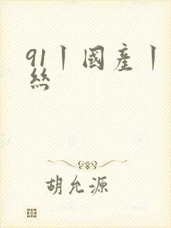 91丨国产丨黑丝