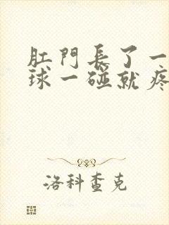 肛门长了一个肉球一碰就疼封面