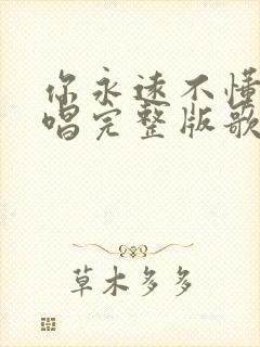 你永远不懂我原唱完整版歌词