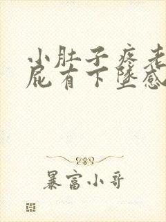 小肚子疼老想放屁有下坠感封面