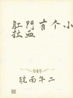 肛门有个小肉球拉血封面