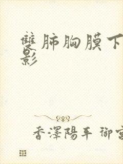 双肺胸膜下结节影