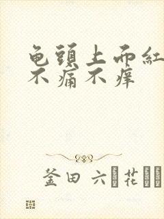 龟头上面红点点不痛不痒