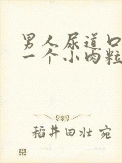 男人尿道口长了一个小肉粒