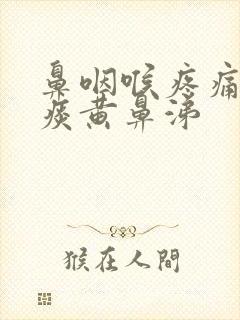 鼻咽喉疼痛有黄痰黄鼻涕