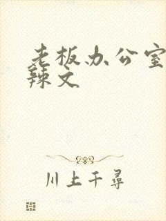 老板办公室系列辣文