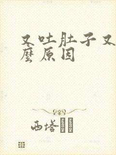 又吐肚子又痛什么原因封面