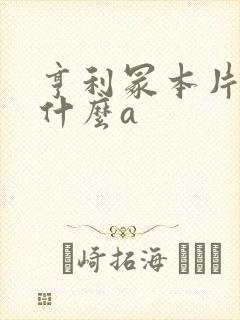 亨利冢本片名叫什么a封面