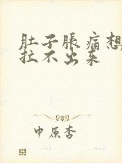 肚子胀痛想排便拉不出来封面