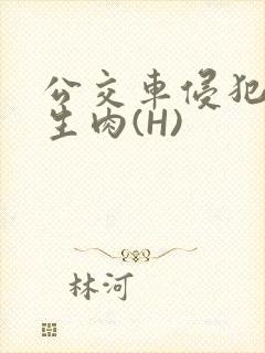 公交车侵犯小男生肉(H)