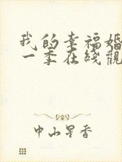 我的幸福婚约第一季在线观看