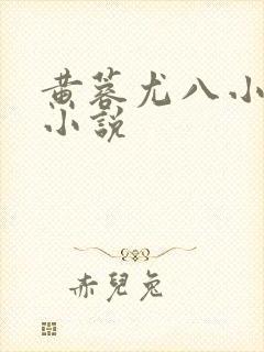 黄蓉尤八小龙女小说