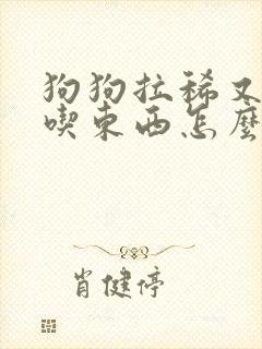 狗狗拉稀又吐不吃东西怎么办