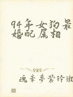 94年女狗最佳婚配属相