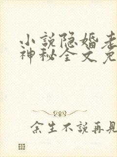 小说隐婚老公太神秘全文免费阅读