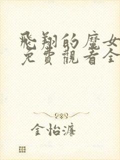 飞翔的魔女动漫免费观看全集封面